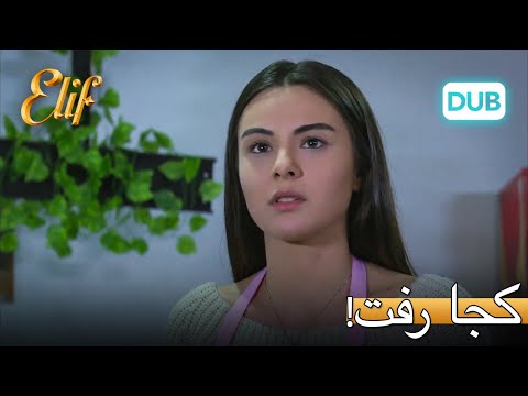 ملک کجا رفت؟ | الیف قسمت 306