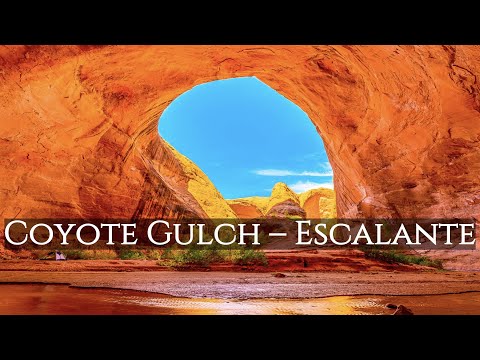 Hiking Coyote Gulch Utah