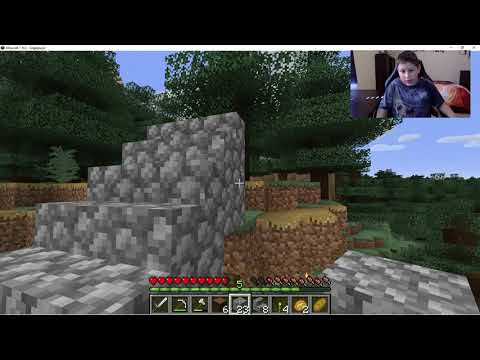 Minecraft Wifi Survivle ep:7 THE BRIDGE