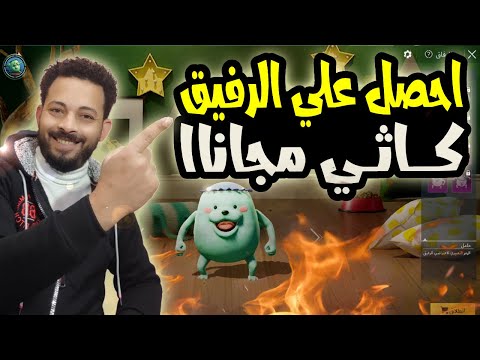 احصل على الرفيق كاثي الجديد مجانا للجميع في ببجي موبايل