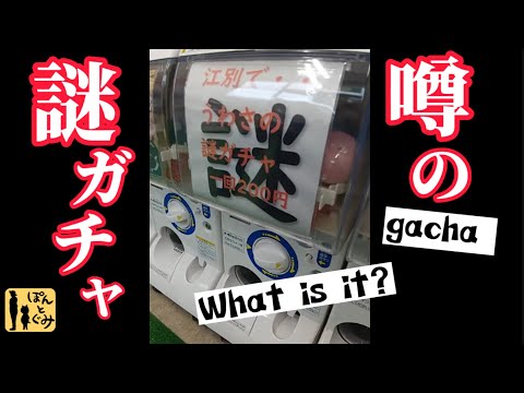 【回してみた！！】江別でうわさの謎ガチャ！！