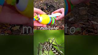 Learn Bugs Names at the Stream for Kids: Grasshopper Ladybug Centipede Mosquito Caterpillar