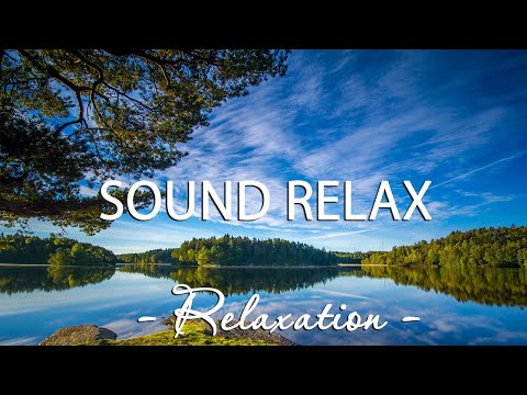 Healing music for the heart and blood vessels - Music for office work - Music for relaxation