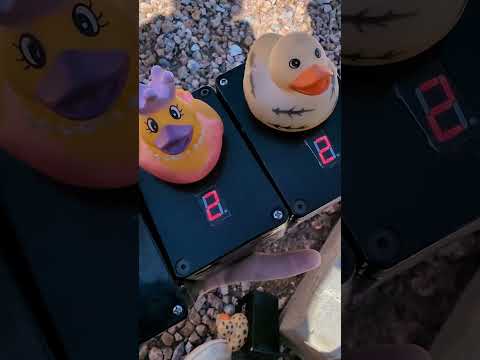 This Gadget Geocache is Unlocked with Wireless "Magic Ducks" | GeoTrek #shorts