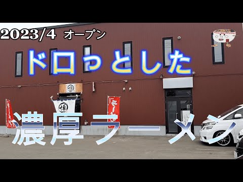 ホロホロのチャーシューが美味い！江別拉麺 博で醤油らーめんを頂く2023/5【年間250杯ラーメン】