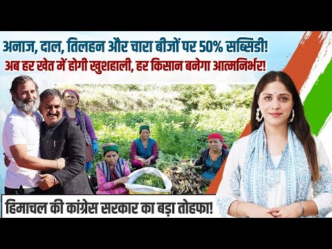 किसानों को कांग्रेस सरकार का बड़ा तोहफा, फसलों के बीजों पर मिलेगी 50% सब्सिडी! | Himachal | Congress