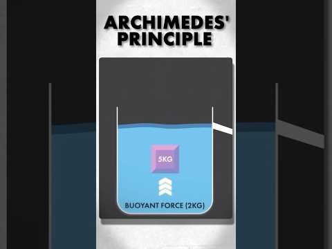 Archimedes Principle Explained in 60 seconds!