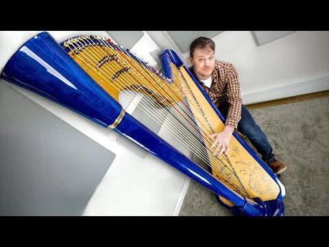 Harp (44 strings of absolute beauty… and sometimes farts)