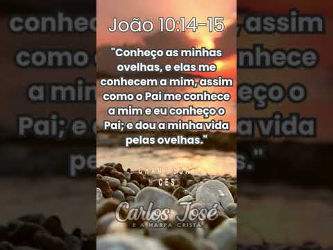 HINO - 104 Jesus Procura a Ovelha #harpacristã