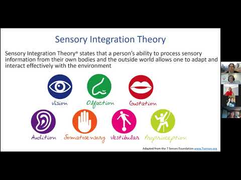 FND Aus talks to Dr Jessica Ranford about sensory processing challenges in FND