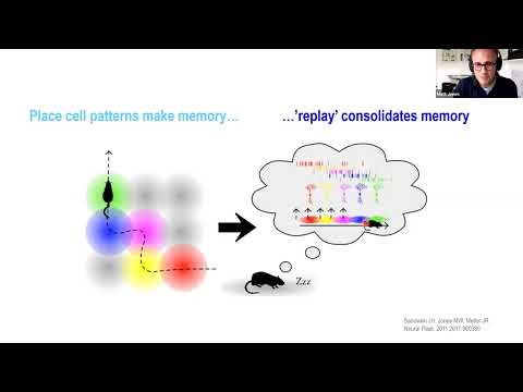 Thoughts that go bump in the night: sleep-sensitive circuits in psychiatry