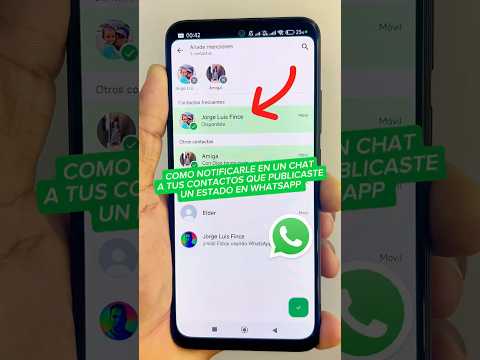 Como notificarle por chat a tus contactos de WhatsApp que publicaste un estado