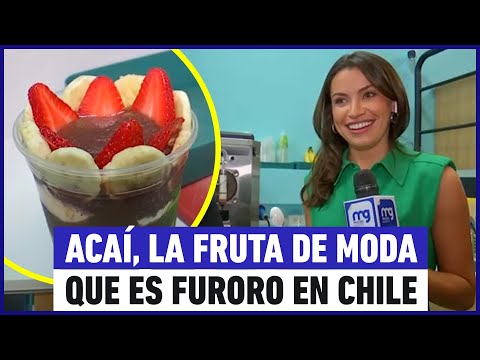 Acai, la fruta de moda que es furor en Chile