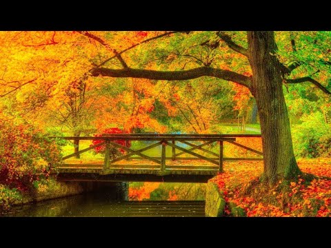 Beautiful Relaxing Hymns, Peaceful Instrumental Music 4k, "October Morning Sunrise" By Tim Janis