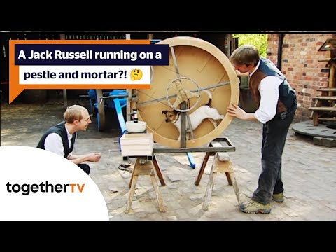 A dog powered pestle and mortar! 💊🐶 | Victorian Pharmacy | Together TV