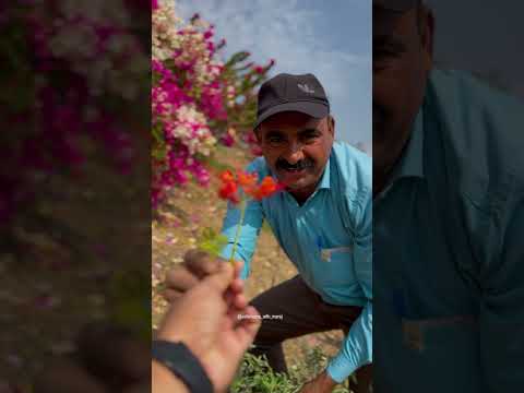 Special IIT Valentines's Day #valentinesday #valentine #iitjodhpur #iit #ytshorts #viral #shorts