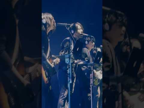 #サカナクション#ミュージック#SAKANAQUARIUM2013#sakanaction