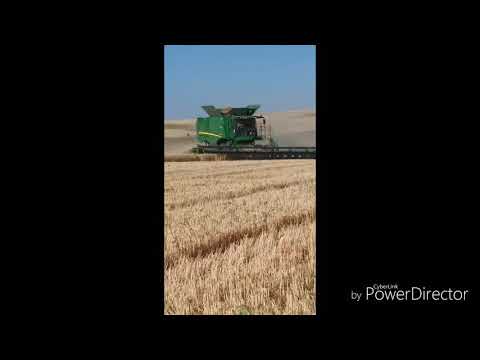 Farm montage