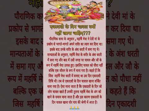 एकादशी के दिन चावल क्यों नहीं खाना चाहिए?? Ekadashi ko chawal kyu nhi khate #shortvideo#ekadashi