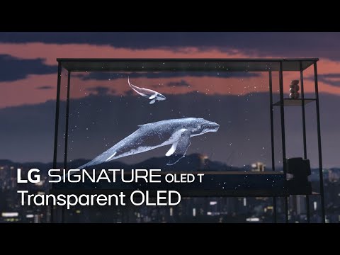 LG SIGNATURE : Transparent OLED | LG