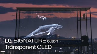 LG SIGNATURE : Transparent OLED | LG