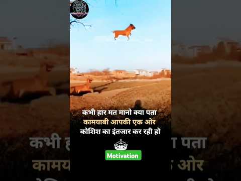 कभी हार मत मानो💯🔥👍||dailymotivation quotes💯🙏|| #motivation #motivational #dailyquotes #shorts #viral