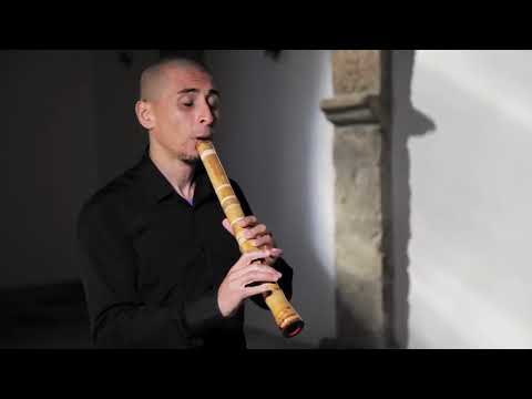 Zen Shakuhachi - Rodrigo Rodriguez - Música Japonesa Meditativa