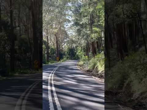 #RoyalNationalPark #nsw #driving #roadtrip #australia #adventure #bycicleday #april2023