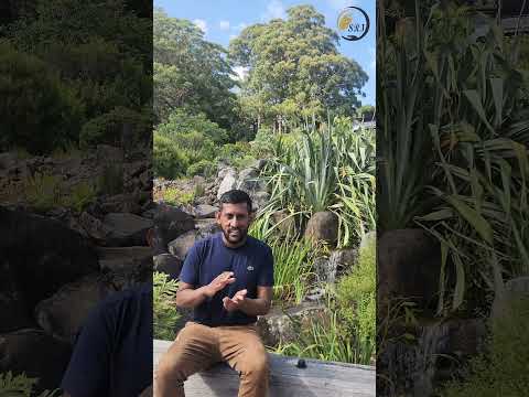 Australian Landscapes Part 2 - Turning 12 Beats into 13 at Mt Tomah #mridangam #konnakol