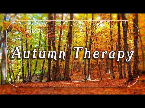 Autumn Therapy 🍂 Fall Leaves Forest Ambience | Healing Frequency Autumn Meditation