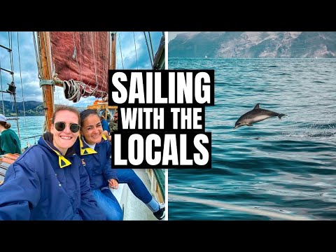 SMALLEST DOLPHINS IN THE WORLD // Akaroa New Zealand