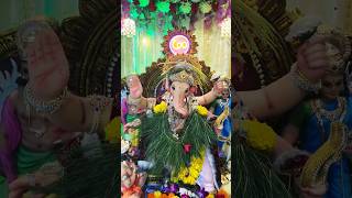 Maza ladaka dev bappa #ganapatibappamorya #bappa #ladkabappaganpatibappa #youtubeshorts #shorts