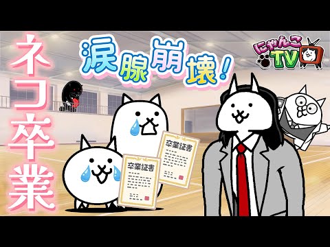 【にゃんこTV】ときめきにゃんこ学園+9000万DL記念後編にゃ！【にゃんこ大戦争公式】