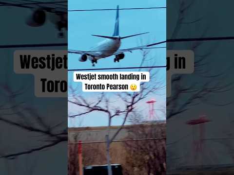 Westjet smooth landing in Toronto #canada #aviation #yyzplanespotting