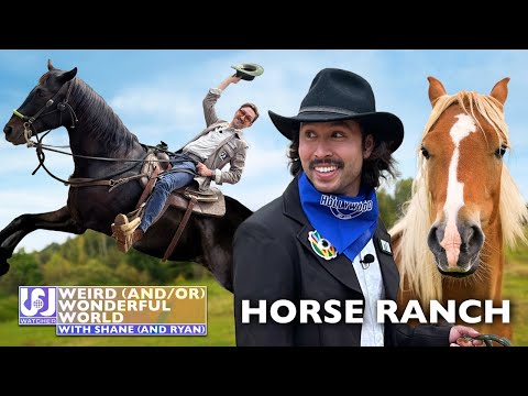 Shane & Ryan Visit A Hollywood Horse Ranch • Weird Wonderful World