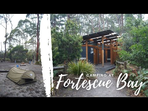 INCREDIBLE CAMPING AT FORTESCUE BAY FOR ONLY $13 | Tasmanian Devil Unzoo | Tasmania vlog #4