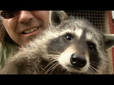 Wildlife Wranglers: Making Cougar Crossings | E10 | Full Episode