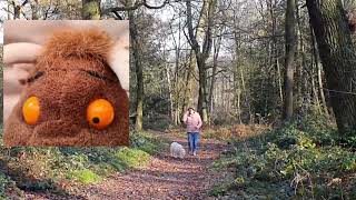 Going on a Gruffalo Hunt with Sue Baldwin