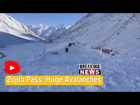 Zojila Pass Current status | Snow clearance zojila Pass | Huge Avalanches work in progress 13/12/24