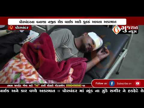 GUJARAT NEWS PORBANDAR 01 01 2025