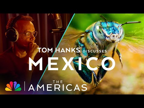 Tom Hanks Discusses Mexico | The Americas | NBC