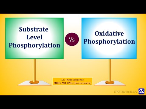 5: Substrate Level Phosphorylation | Biological Oxidation | Biochemistry | N'JOY Biochemistry