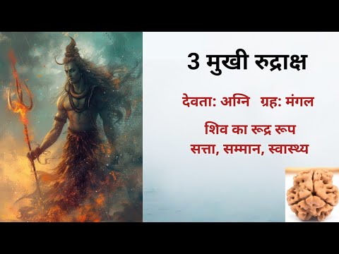 3 मुखी रुद्राक्ष: साहस, सेहत, सत्ता का वरदान। पाप को भस्म करने की शक्ति। धारण विधि, मंत्र, लाभ।