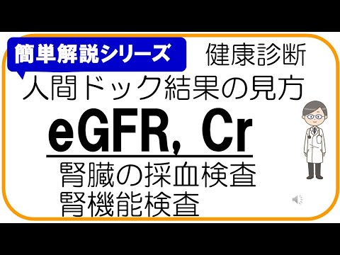 【人間ドック結果の見方】eGFR,腎機能検査,腎臓採血検査,Cr,クレアチニン、健康診断結果の見方