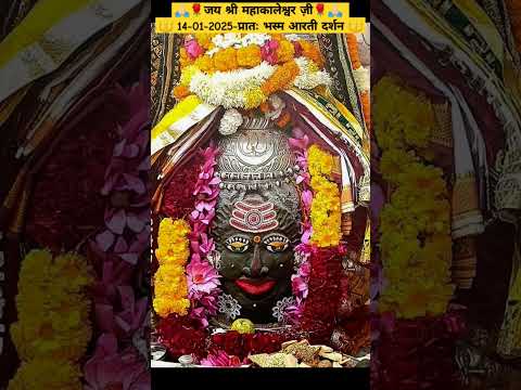 🙏🏻🌹जय श्री महाकालेश्वर ज़ी🌹🙏🏻  14-01-2025-प्रातः भस्म आरती दर्शन  #mahakal #shortsfeed #live #darshan