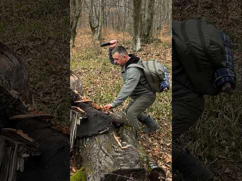 The best waterproof fire starter that lights up instantly! 🔥 #survival #campping #lifehacks