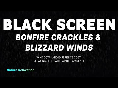 Cozy Bonfire & Blizzard Sounds for Deep Sleep | Black Screen Winter Ambience