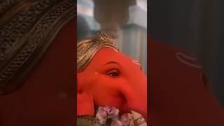 ganapati bappa morya|mangal murti morya🌺 #ganpatibappamaurya #trending #trendingshorts #viralbappa