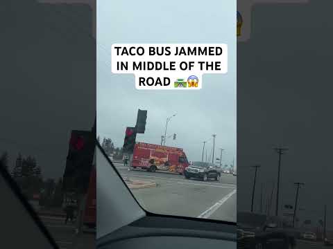 TACO BUS JAMMED IN MIDDLE OF THE ROAD 🛣️😱 #jam #bus #california #shorts