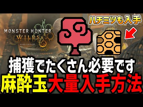 【連続採集の小技】捕獲に必要な『捕獲用麻酔玉』や回復Gになる『ハチミツ』を大量に集める方法を解説！！！【MHWs/モンハンワイルズ】